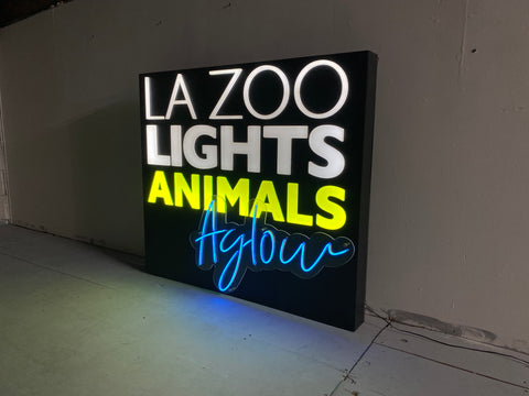 Light Box Sign with Neon Sign | Light Up Signs for Business | Illuminated Sign