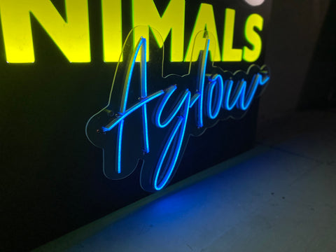 Light Box Sign with Neon Sign | Light Up Signs for Business | Illuminated Sign