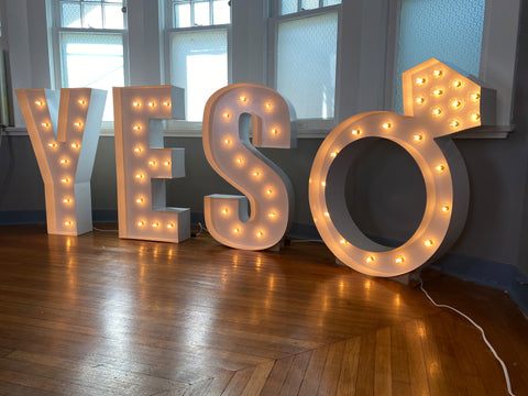 Large LED Light Up Letters And Numbers (4ft) FOR HIRE Only